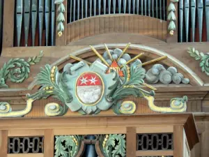 organ Details
