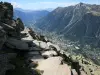 Panorama di Chamonix, in quanto le Forbes segnale (© JE)
