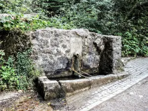 La fontana di Nans, lungo il sentiero fino al santuario (© J.E)