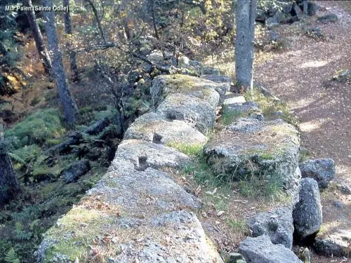 Le mont Sainte-Odile - Détail d'assemblage des blocs du mur païen (© J.E)