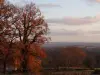 Chênes colorés avec vue sur la partie Est des monts d'Ambazac