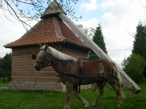 Les moulins de Flandre - Rosmeulen (moulin à cheval) à Volckerinckhove