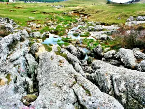 Lapiaz del abismo de Embut en Caussols (© JE)