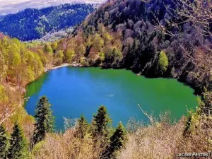 Lac des Perches - Massif des Perches (© J.E)