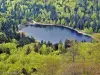 Le Parc Naturel Régional des Ballons des Vosges - Lac de Blanchemer vu de la route des crêtes (© J.E)