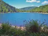 Le Parc Naturel Régional des Ballons des Vosges - Lac des Corbeaux - Secteur du col de Bramont (© Jean Espirat)