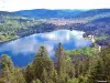 Le Parc Naturel Régional des Ballons des Vosges - Lac de Gérardmer vu de la tour de Mérelle (© Jean Espirat)