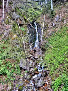 Cascade de la Goutte du Lys - Malvaux, route du ballon d'Alsace (© J.E)