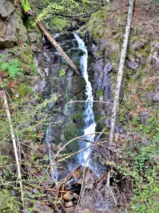 Cascade de la Goutte du Lys - Malvaux, route du ballon d'Alsace (© J.E) 