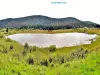 Panorama sur le lac des Rouges Truites (© Jean Espirat)