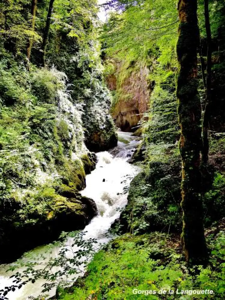 Le Parc Naturel Régional du Haut-Jura - Gorges de la Langouette vues du pont (© Jean Espirat)