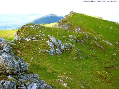 Le Parc Naturel Régional du Haut-Jura - Crête Nord-Est du Grand Colombier de Culoz (© J.E)