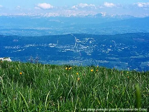 Le Parc Naturel Régional du Haut-Jura - Panorama depuis le Grand Colombier de Culoz (© Jean Espirat)
