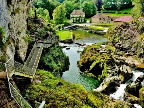 Le Parc Naturel Régional du Haut-Jura - Bassin terminal sous les pertes de l'Ain, vu du dessus (© Jean Espirat)