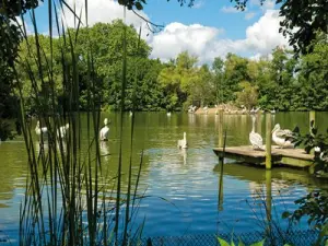 Bellezza della natura, stagni