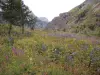 Vallon du Fournel (© Jean Espirat)