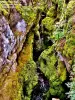 Les pertes de l'Ain - Gorge en aval de la passerelle (© Jean Espirat)