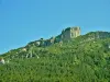 The ruins of the castle, seen from the road (© Jean Espirat)