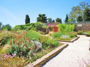 Jardin fleuri sur la terrasse de l'ancien château de Giens (© J.E)