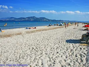 Plage des Estagnets en juillet (© J.E)