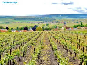 Ville-Dommange, vue de la chapelle de Lié (© Jean Espirat)