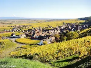 Vignoble de Gueberschwihr (© Jean Espirat)