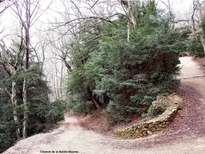 Path to the Sainte-Baume cave (© J.E)