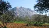 Massif of Sainte-Victoire