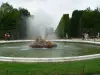 Versailles - Spiele Wasser (© Frantz)