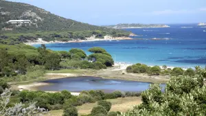 Palombaggia - Vista della spiaggia di Cala di Lume e I Pini