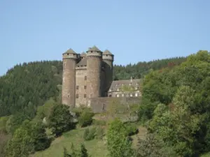 Anjony castillo Tournemire