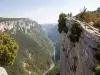 On the ridge road (© Aurélien Picat)