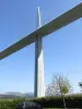 Het viaduct van Millau