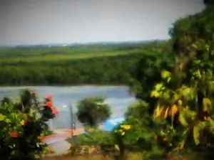 Mangrove und See von der Kirche gesehen