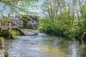 Passeggia e fiancheggia la riva