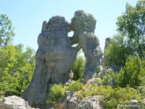 Bären Rock and Lion ( © Jean Espirat )