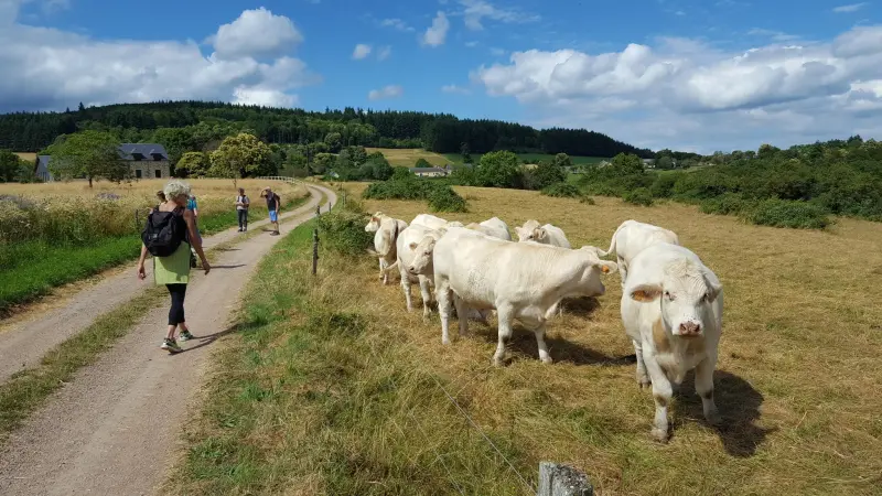 Ущелья Канш - Походы и прогулки — Roussillon-en-Morvan