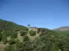 步行至Esperelles和Ancise Pass - 远足与散步在Ventalon en Cévennes