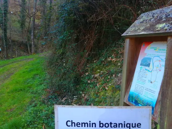 Alberi e leggende nelle gole della Loira - Escursioni e passeggiate a Retournac