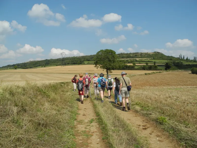 Balcones Dracy - Travesías y excursiones en Dracy-lès-Couches