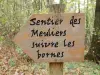 La Barre Naturwaldbereich - Wanderungen & Spaziergänge in La Ferté-sous-Jouarre