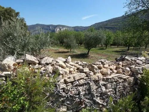 Beaumes Rouges Path - Escursioni e passeggiate a Fontaine-de-Vaucluse