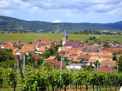 Beblenheim viñedos - Travesías y excursiones en Beblenheim
