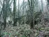 Bergette Área de Bosques Naturales - Travesías y excursiones en La Ferté-sous-Jouarre