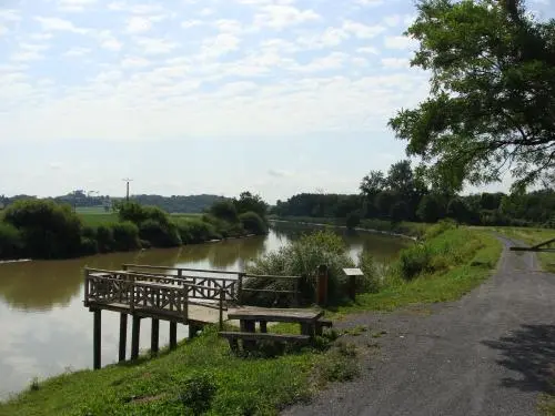 La Bidouze leerpad - Wandeltochten & wandelingen in Guiche