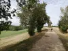 Boucle des Filhols - Randonnées & promenades à Villemur-sur-Tarn