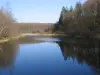 Bouzey Lake and Comtesse Lake - Hikes & walks in Renauvoid