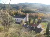 Caminho de oliveira - Caminhadas & passeios em Estoublon