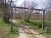 Le canal des étangs - Randonnées & promenades à Lège-Cap-Ferret