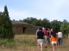 Capitoul... capitelles et dolmens - Randonnées & promenades à Villeneuve-Minervois